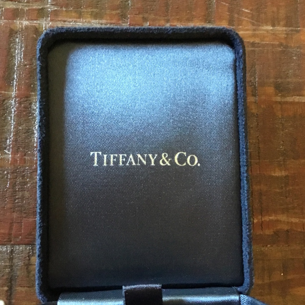 Authentic Tiffany & Co. Open Circle Diamond Platinum Pendant - Picture 15 of 16